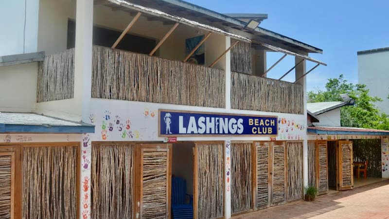 Lashings photo 1
