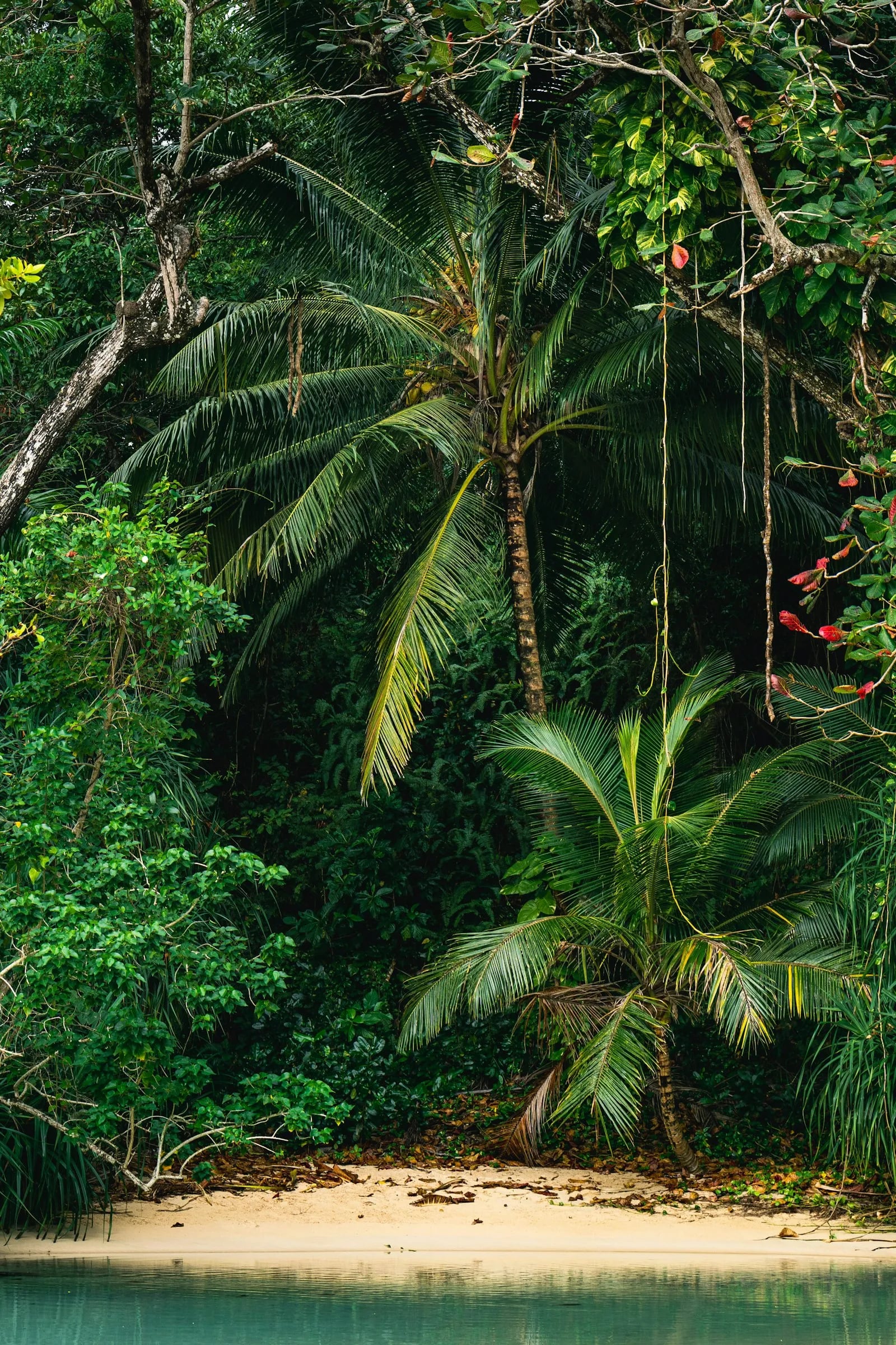 Oracabessa