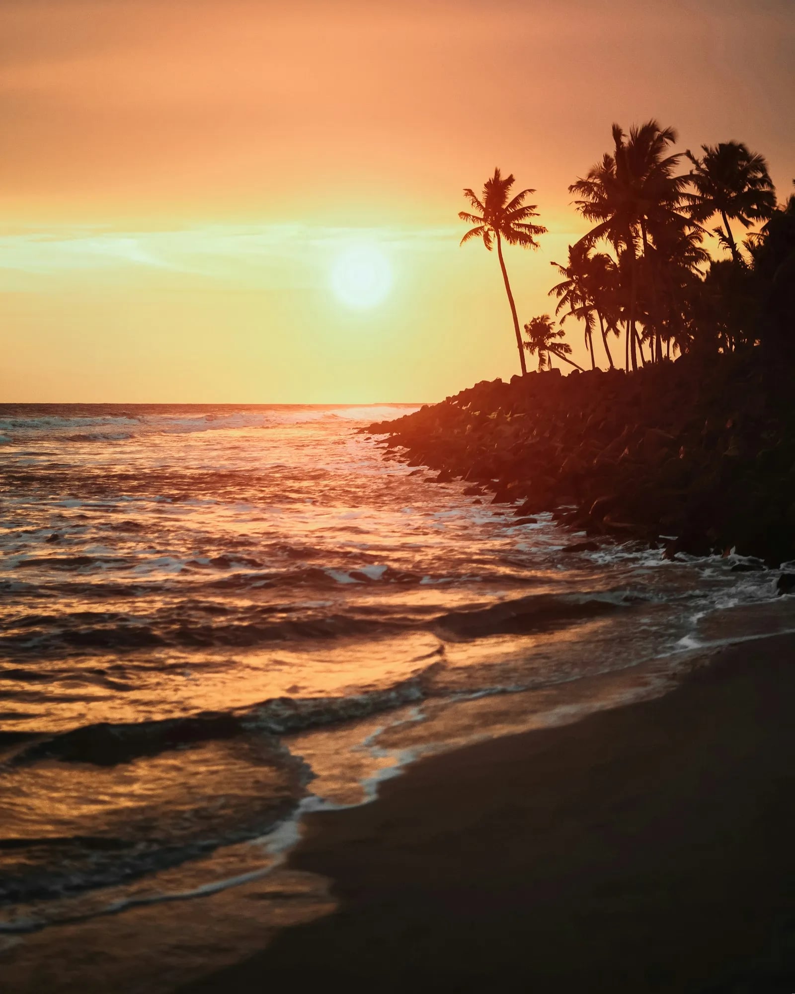 Treasure Beach