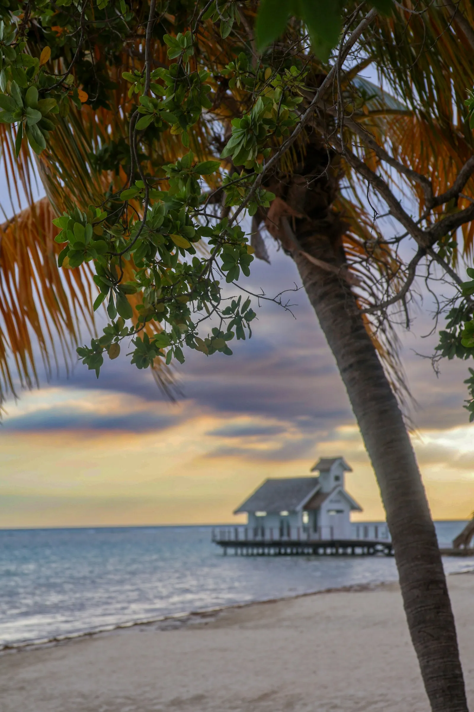 Black River, Jamaica β private airport transfer destination