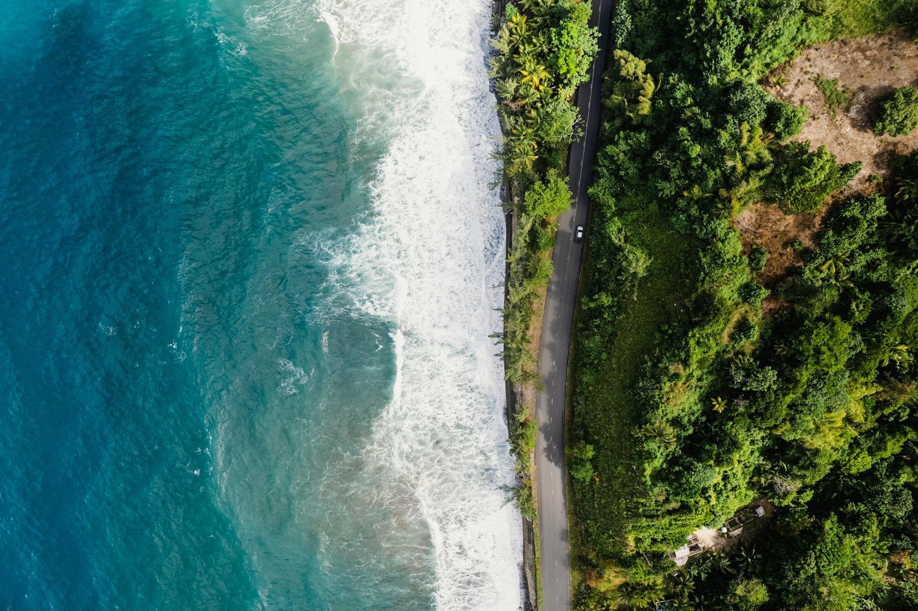 7 Things to Know Before Your First Trip to Jamaica