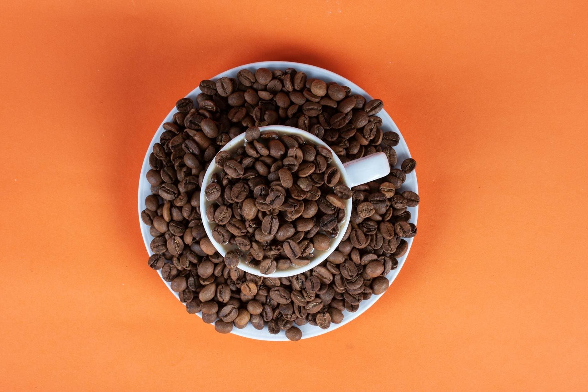 Blue Mountain Coffee: From Bean to Cup on Jamaica's Highest Peak