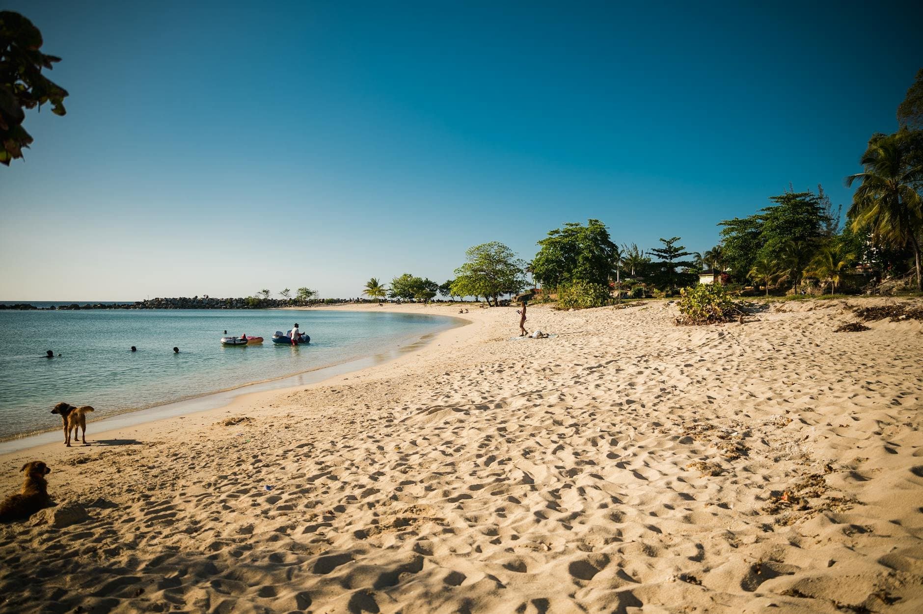 Private Transfers to Ironshore, Montego Bay