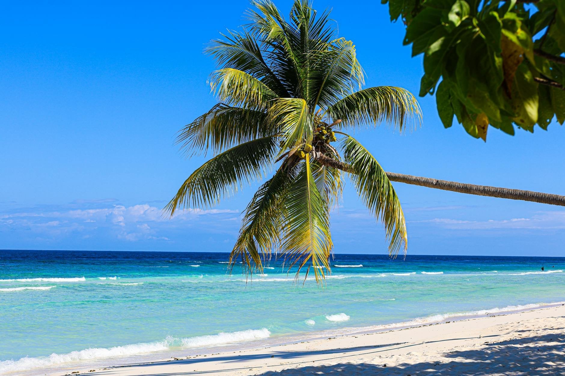 Private Transfers to Negril Seven Mile Beach: The Complete Guide