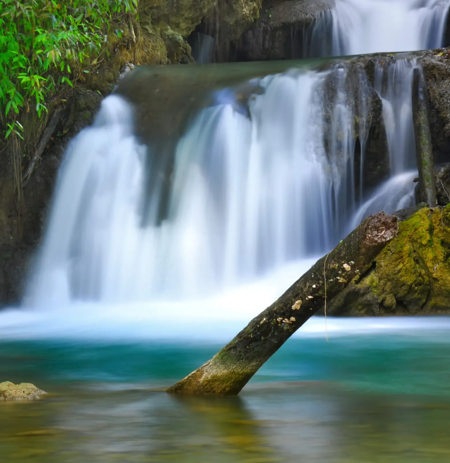 South Coast, Jamaica