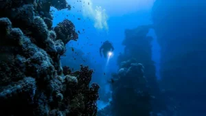 Dive into Paradise: The Soulful Allure of | Top Travel Tips